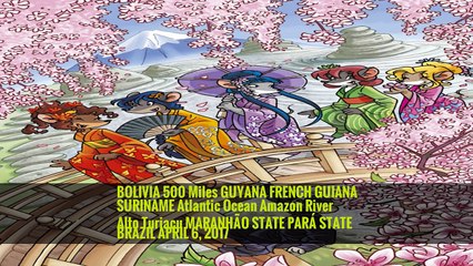 Special Ops With a Studious Bent Fight Destruction of Brazil’s Amazon