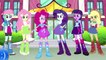 KIds MY LITTLE PONY EQUESTRIA GIRLS Mane 6 Transform Into FLUTTERSHY MLP Coloring Games Awesome