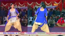 डांसर प्रिया पब्लिक में गदर डांस कालजा पाटन का डर से # New Haryanvi Dance 2017 Latest # NDJ Music