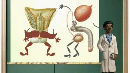 Lazyboy - Facts of Life (Italian Version)