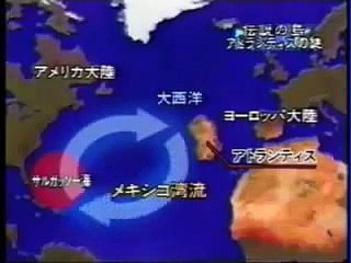 動物達はなぜ大西洋を死に場所に選ぶのか？