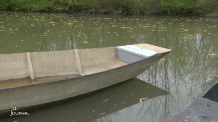 Patrimoine : La barque en ciment renaît (Maillezais)
