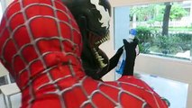 Spiderman Cleaning the house PRANK VS Elsa VS Venom VS Joker VS Hulk! Real Life Superheroes Fun