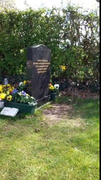 Un oiseau se pose sur la main d'une mère devant la tombe de son fils