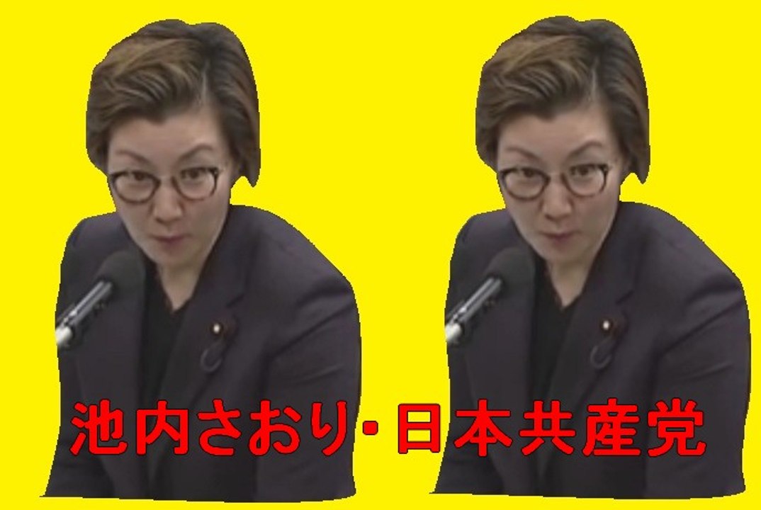 《カリビアンコム、ＪＫビジネス》　池内さおり(日本共産党) 国会中継 衆議院 内閣委員会　平成29年4月7日