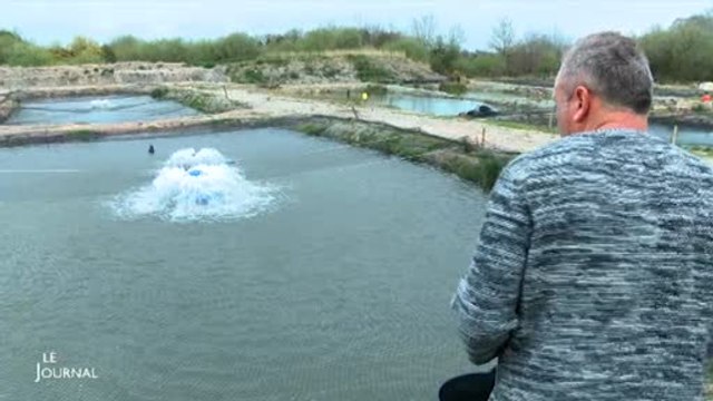 Aquaculture : Production de sandres et perches chez Aquafish