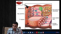 Cardiac Muscle and Qouick Revesion on Muscle Typses part 2 (Muscle 4/5)