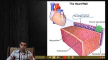 Cardiac Muscle and Qouick Revesion on Muscle Typse Part 1 (Muscle 3/5)