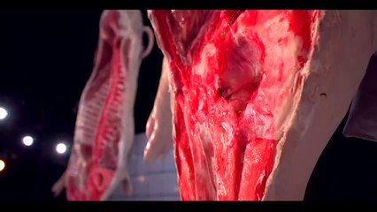 Rewolucja Zwierząt - Zwiastun krótki (055)