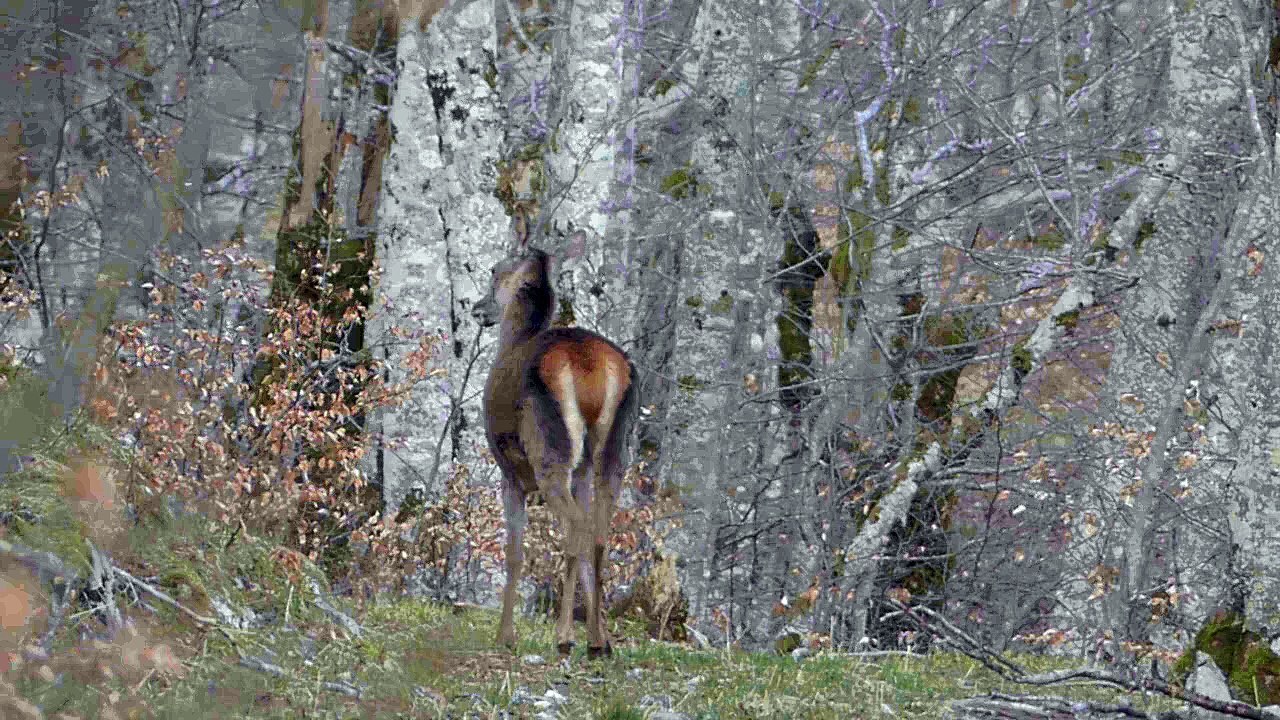 Brève rencontre