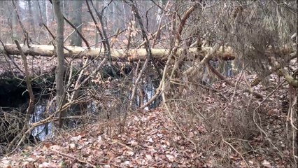 Timelapse Zeitraffer - Warnemünde März 2016 /Full Film/Complete Movie/Ganzer Film