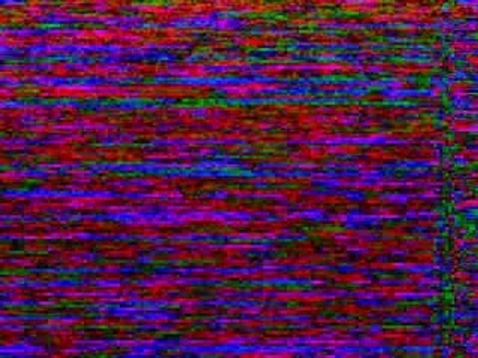 Les Garcons Bouchers -Live - La Biere - Clip