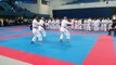 Karate Klub Mars - 37th Karate Grand Prix Slovakia, Bratislava 25.3.17. part 2
