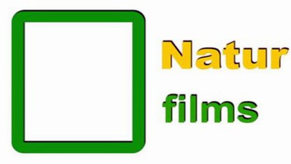 Insecticidas letales NO