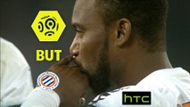 But Stéphane SESSEGNON (49ème) / SM Caen - Montpellier Hérault SC - (0-2) - (SMC-MHSC) / 2016-17