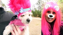 Trolls Puppy Makeover (Poppy, Branch, Guy Diamond) Dreamworks dsaNew M