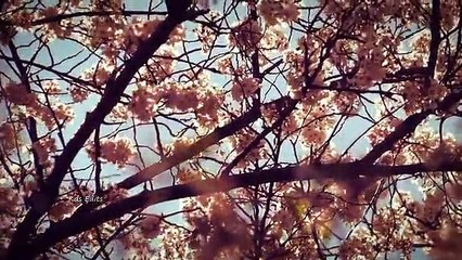 Ariana Grande ft. Zara Larsson - This Symphony's For You