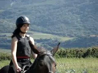 Ramses dressage