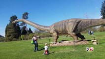 Dinosaurus Tyrannosaurus Rex and roses Dino park day 1, Тиранозавр и 50 000 наименований цветов Дино Парковый день часть 1