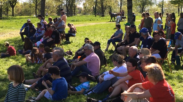 Concours national d'attelage