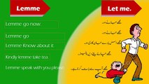 How to Speak English Fluently Like Natives With Only 11 Words English in Urdu Hindi Video Tutorial