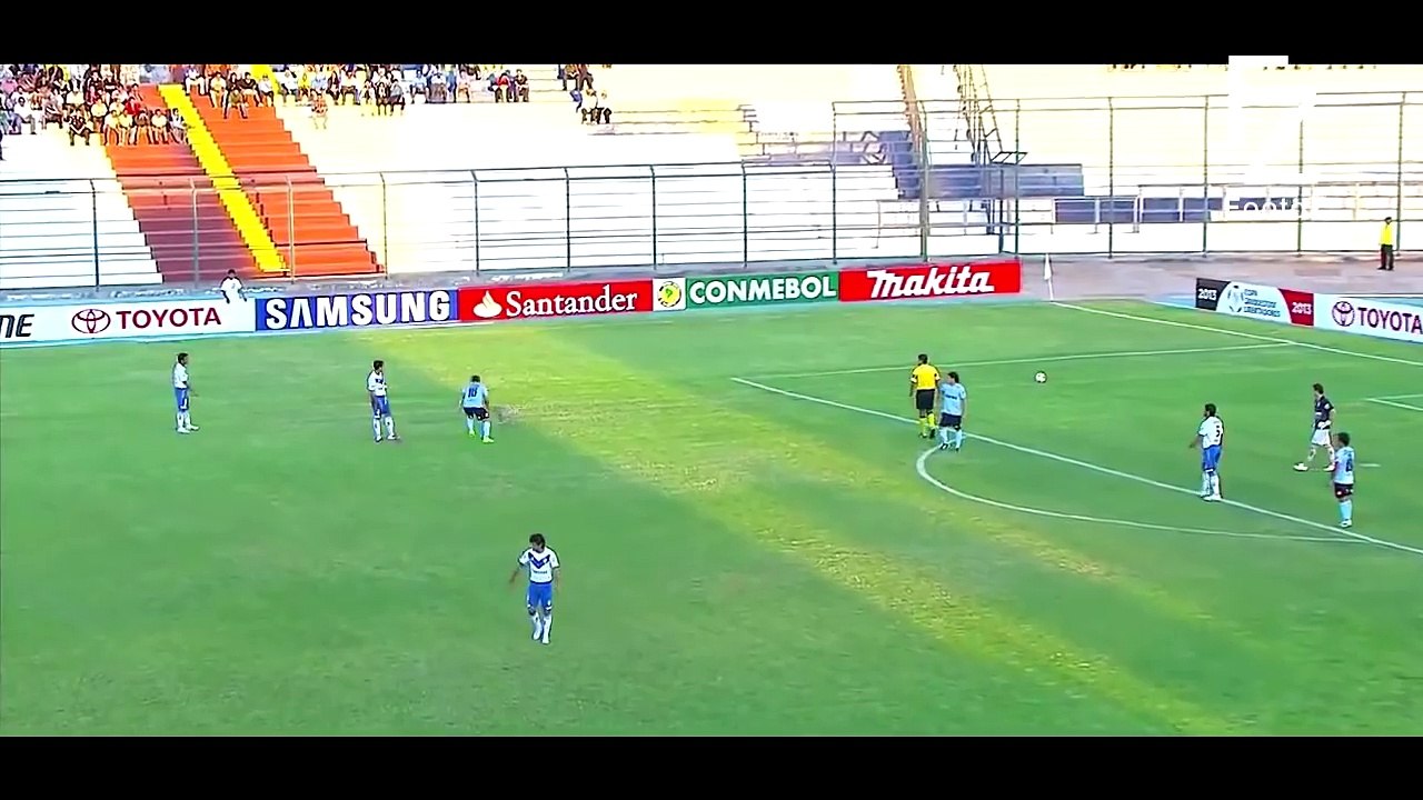 Animals on the Football Pitch ● Funny Moments ● HD