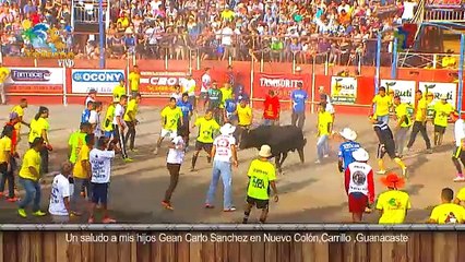 Verano Toreado 08 de Abril 2017