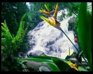 Truely Asia- Malaysia Promotion, Malaysia Tourism promotion