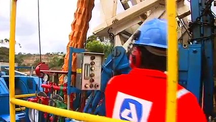 Conheça a Perbras: Empresa de Petróleo 100% Brasileira