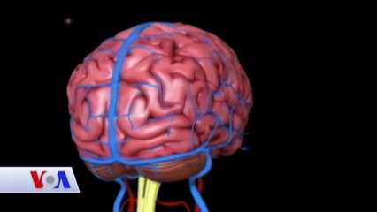 'ALS Hastalığı İnsanlık Onur Savaşı Gibi Bir Şey'