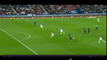 Cavani Goal - Paris Saint Germain vs En Avant Guingamp  2-0  09.04.2017 (HD)