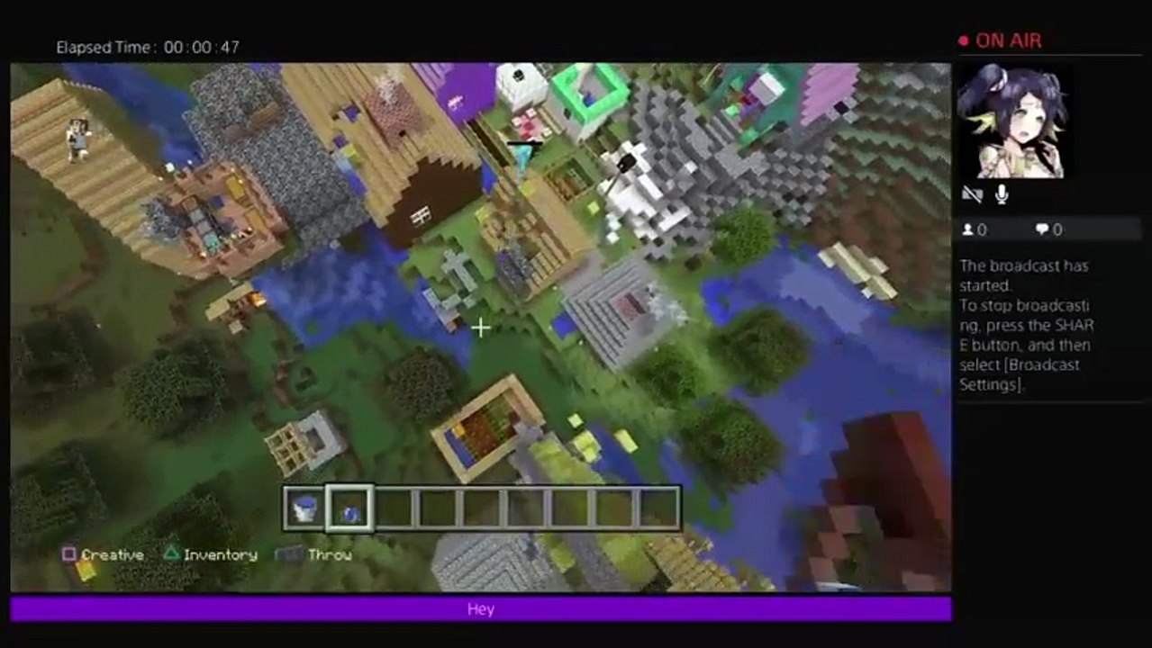 Minecraft herobrion (20)
