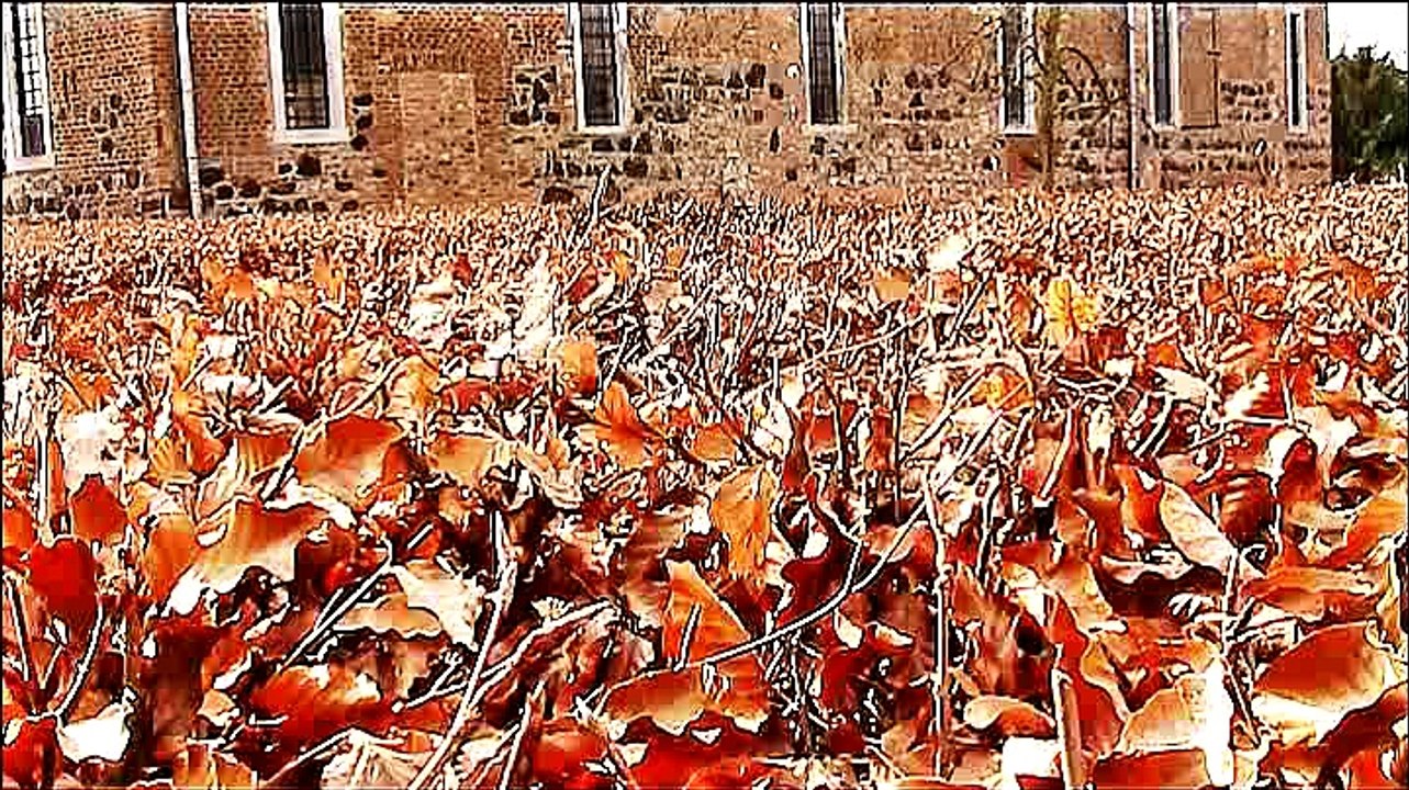 Auf großer Tour durch Zons – 2