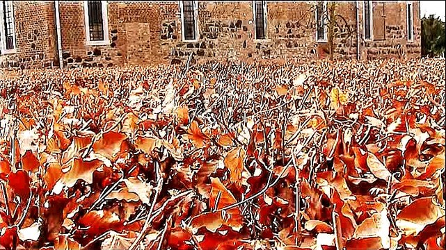 Auf großer Tour durch Zons – 2