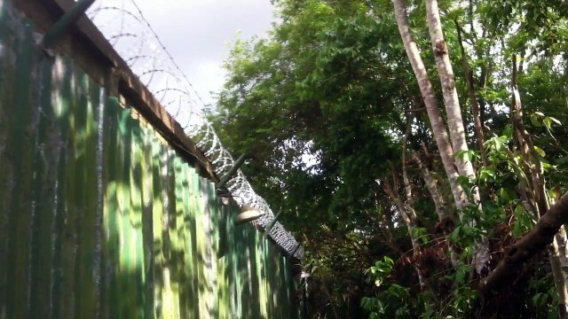 2# CONCERTINA DUPLA CLIPADA Lago Sul, Brasília, DF 61 4103 2534