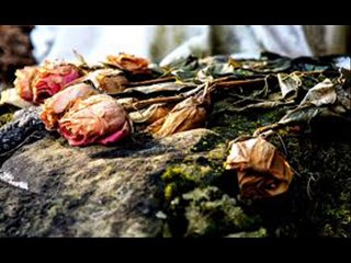 Companys, no era això