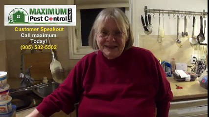 Mice pest control Service Oakville ON