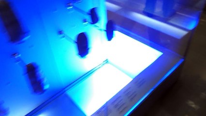 Tour of the museum of London - prehistoric London