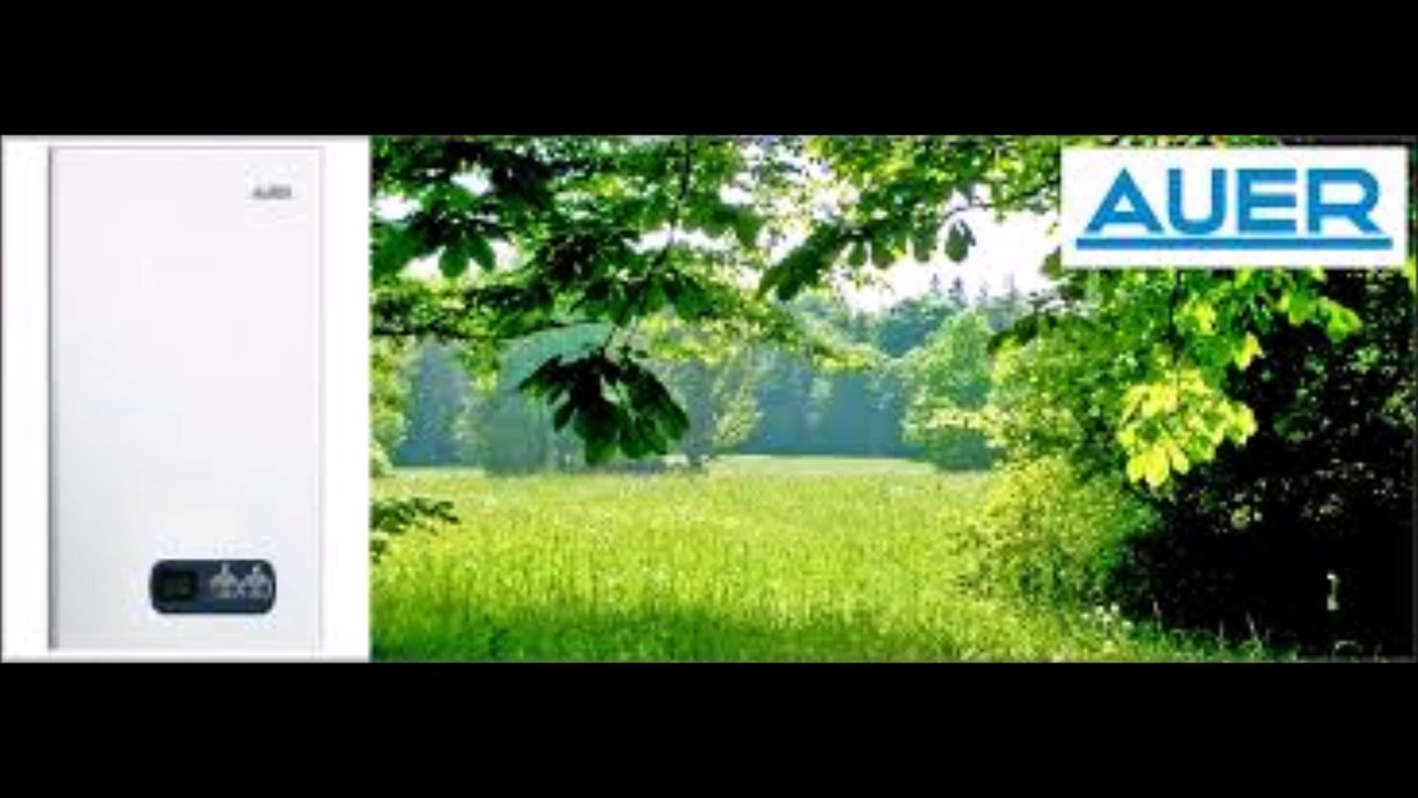 ÇAYYOLU BUDERUS SERVİSİ,,478*21,00