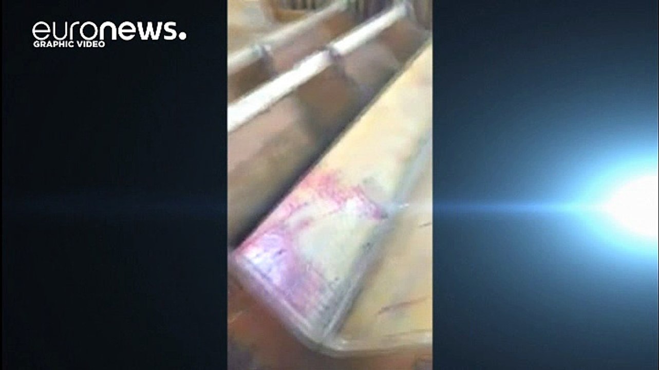 «Ματωμένη» Κυριακή των Βαΐων στην Αίγυτπο