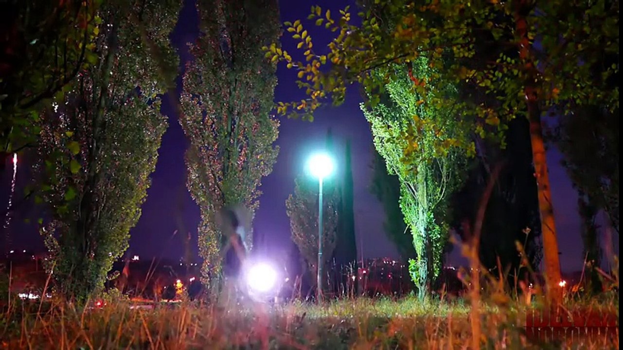 As melhores pegadinhas da história - COELHO e PALHAÇO ASSASSINO