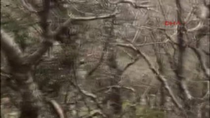 Mardin Savur'da 7 PKK'lı Etkisiz Hale Getirildi