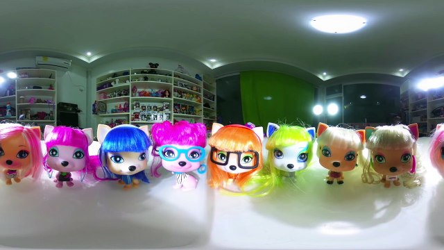 I VIP Pets MLP My Little Pony Collectio