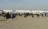 9.000 Warga Mosul Tiba di Kamp Pengungsian
