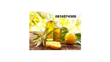 081-657-4300 (Indosat) Jual Minyak Zaitun Pontianak
