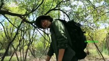 Glimpses of Lee Min Ho from 'the DMZ the wild' 2017 documentary trailer http://BestDramaTv.Net