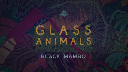 Glass Animals - Black Mambo