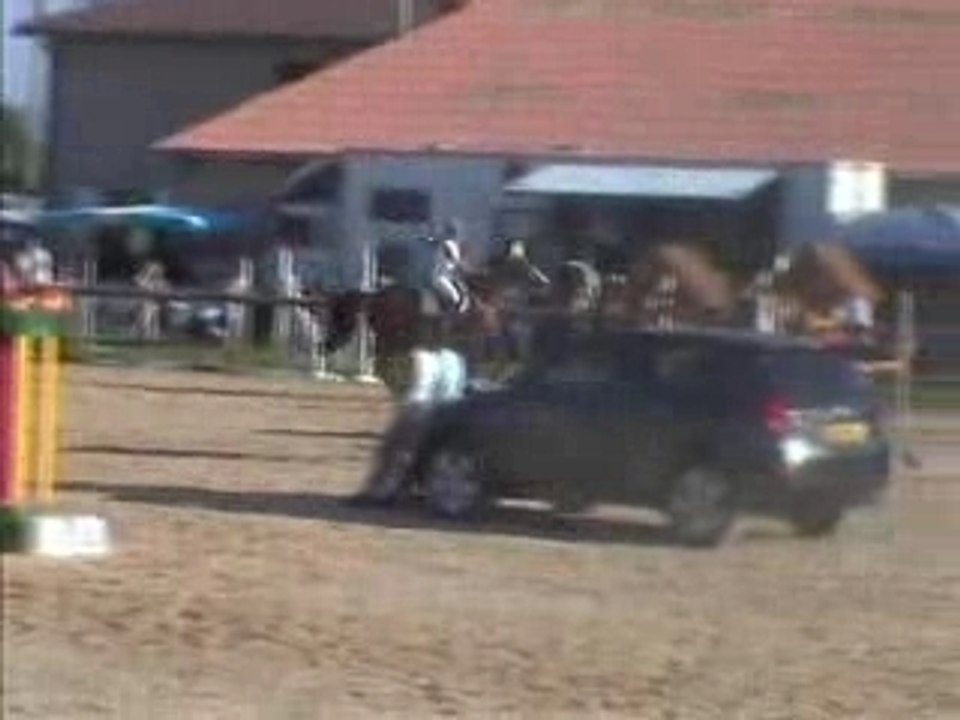 Havanne arnas sauvageonne ptgp 110 (2)