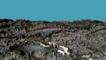 Boris Blank - Ancient Desire