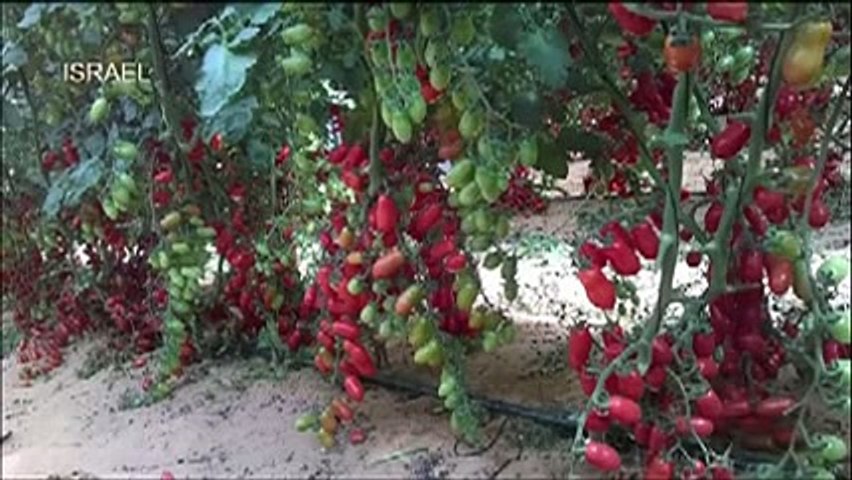 agriculture technology -hehe_14